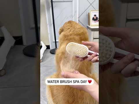 Cepillo de Vapor Con Mango 3 En 1